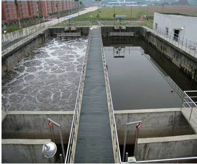 強化消毒下，水廠生化系統如何應對