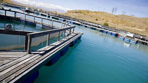 高濃度、高氨氮、難降解廢水